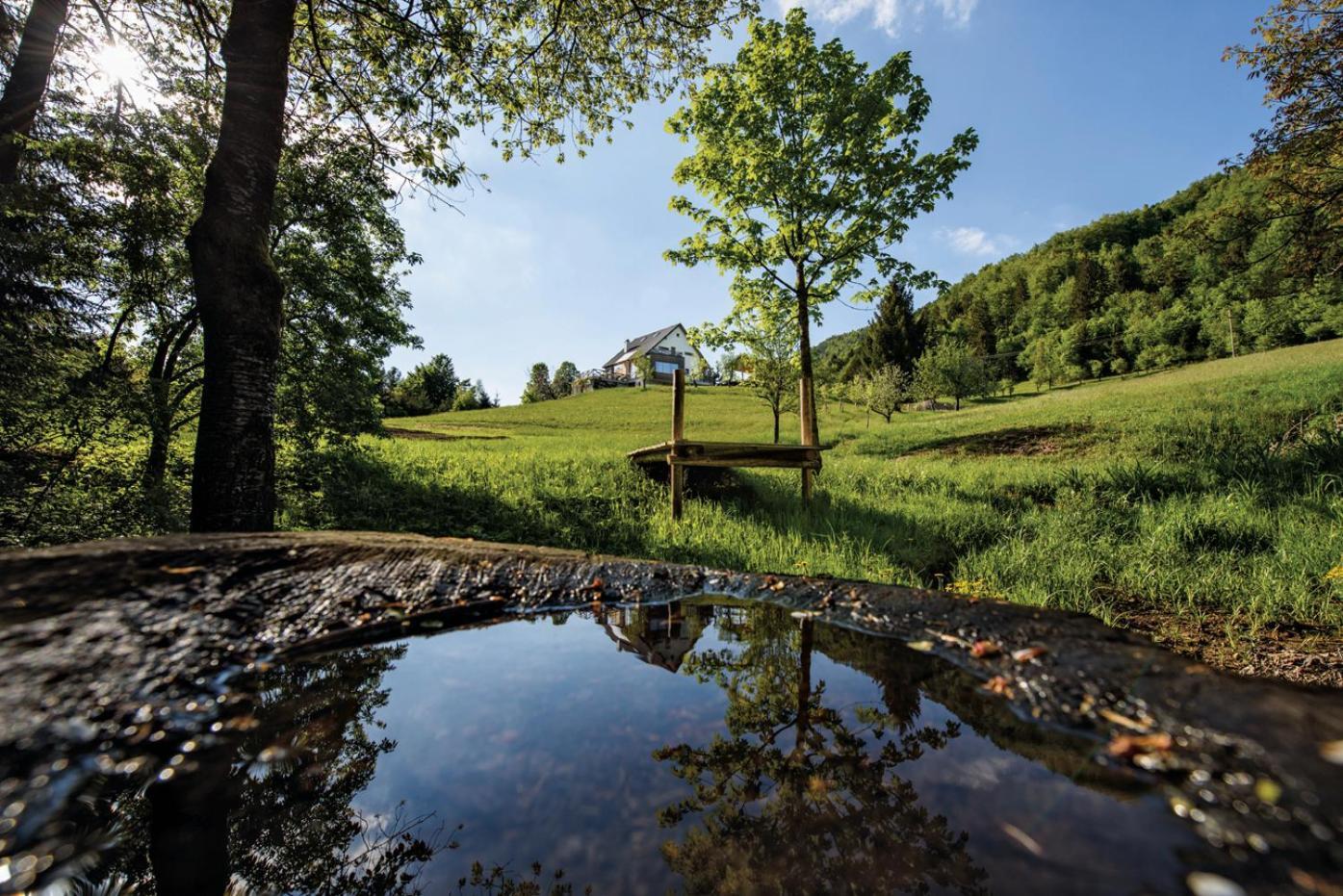 Na Kupcku Estate "Nature Reatreat & Wellness" Idrija Luaran gambar